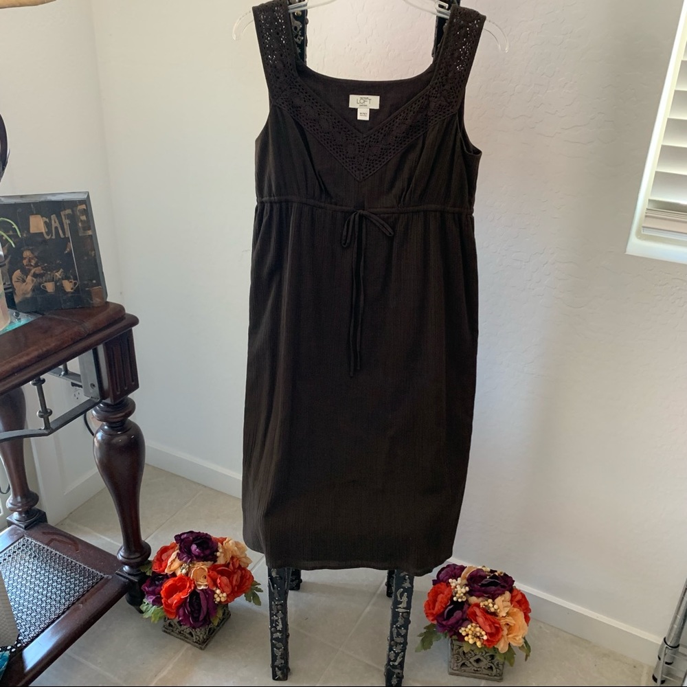Ann Taylor Petites Dress PM